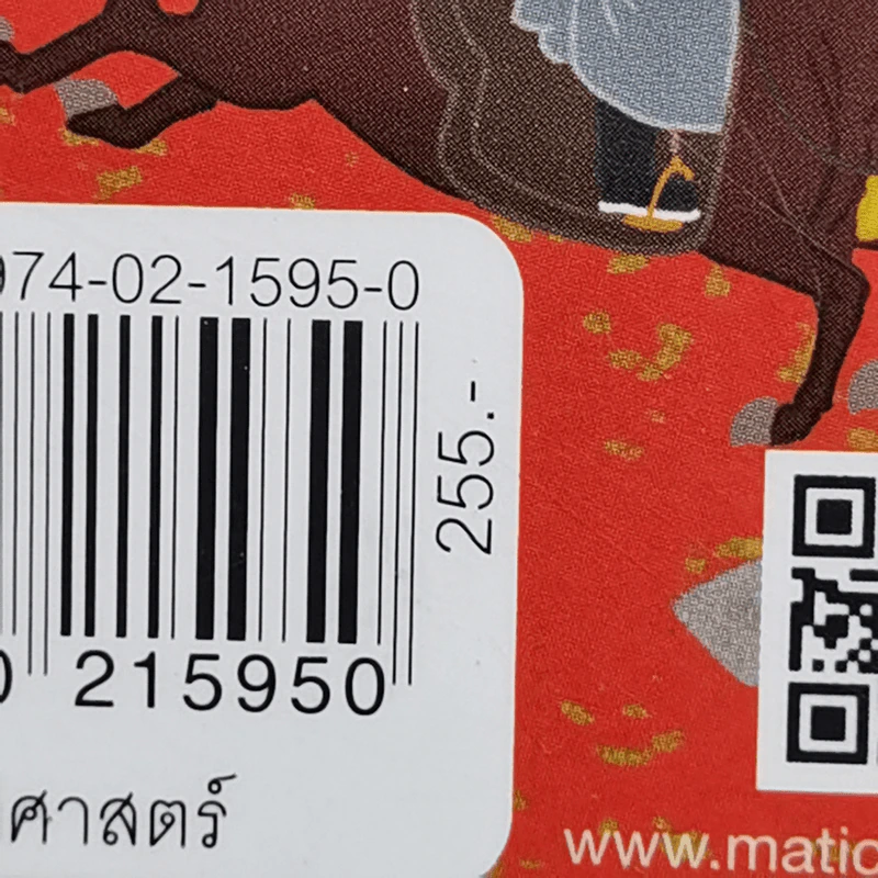 เรื่องไม่เคยเล่าในวังต้องห้าม - หวังอีเฉียว รูปที่ 12