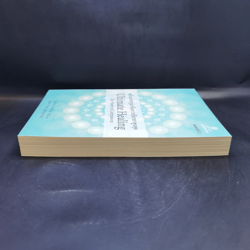 พลังแห่งกรุณาคือการเยียวยาสูงสุด Ultimate Healing The Power of Compassion - ลามะโชปะ ริมโปเช (ธีรเดช อุทัยวิทยารัตน์ แปล) รูปที่ 5
