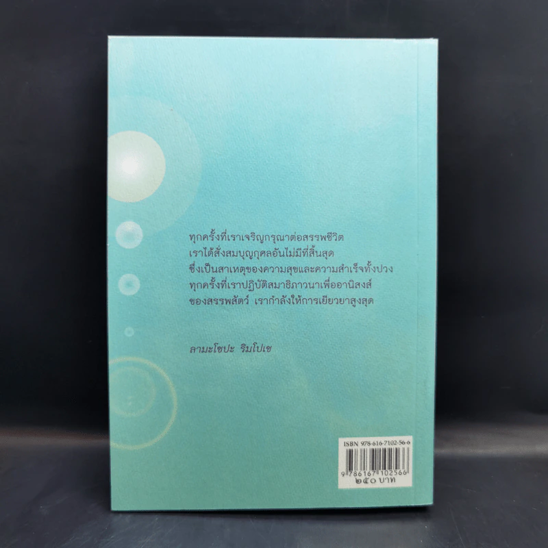 พลังแห่งกรุณาคือการเยียวยาสูงสุด Ultimate Healing The Power of Compassion - ลามะโชปะ ริมโปเช (ธีรเดช อุทัยวิทยารัตน์ แปล) รูปที่ 2