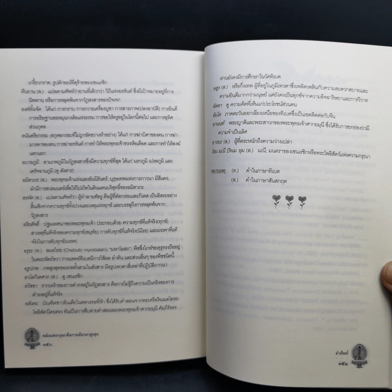 พลังแห่งกรุณาคือการเยียวยาสูงสุด Ultimate Healing The Power of Compassion - ลามะโชปะ ริมโปเช (ธีรเดช อุทัยวิทยารัตน์ แปล) รูปที่ 12