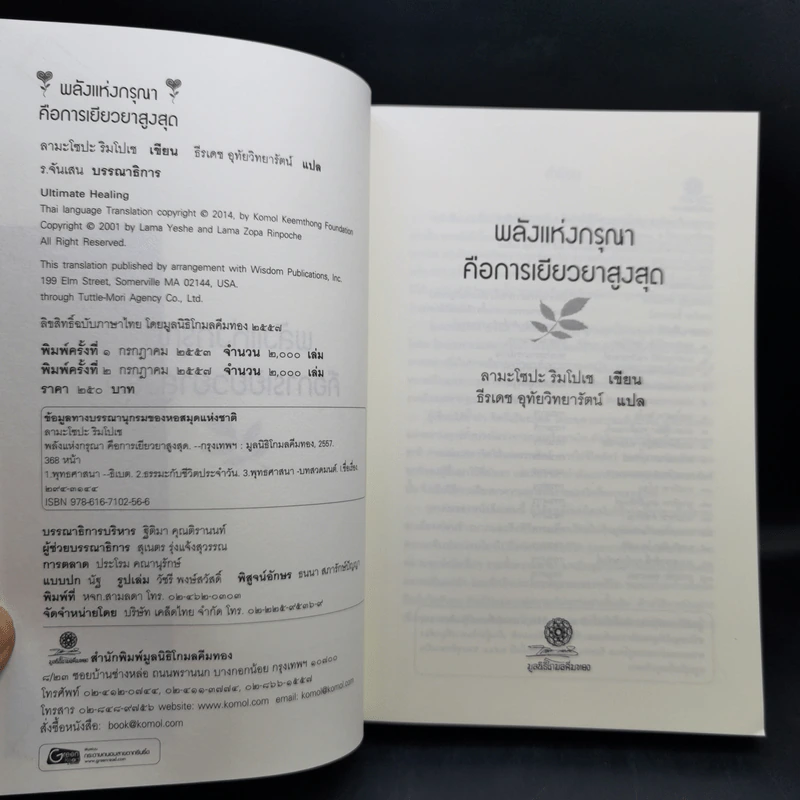 พลังแห่งกรุณาคือการเยียวยาสูงสุด Ultimate Healing The Power of Compassion - ลามะโชปะ ริมโปเช (ธีรเดช อุทัยวิทยารัตน์ แปล) รูปที่ 8