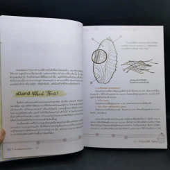 Cooking Bible : Bakery คัมภีร์สำหรับคนทำเบเกอรี่ที่ละเอียดครบถ้วน และสมบูรณ์ที่สุด - ดร. นภัสรพี เหลืองสกุล, ดร. สวามินี นวลแขกุล รูปที่ 14