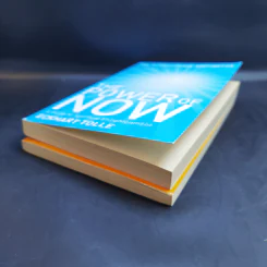 Practising The Power of Now + The Power of Now - Eckhart Tolle รูปที่ 7