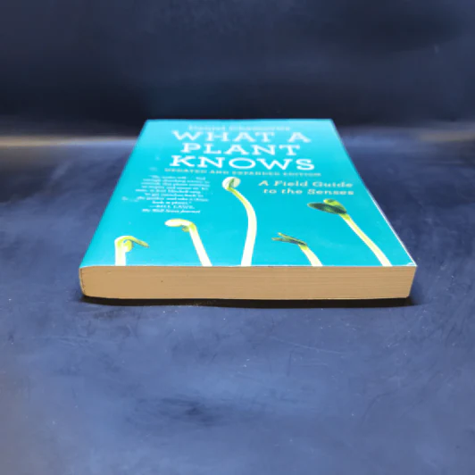 What a Plant Knows - Daniel Chamovitz รูปที่ 4