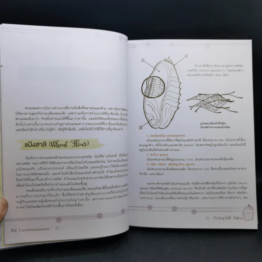 Cooking Bible : Bakery คัมภีร์สำหรับคนทำเบเกอรี่ที่ละเอียดครบถ้วน และสมบูรณ์ที่สุด - ดร. นภัสรพี เหลืองสกุล, ดร. สวามินี นวลแขกุล รูปที่ 14