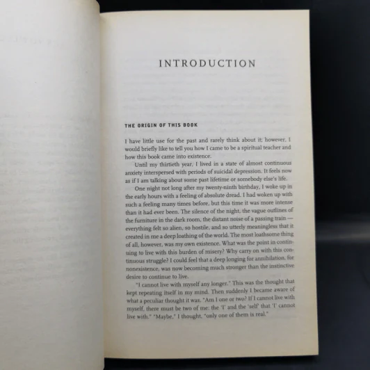 Practising The Power of Now + The Power of Now - Eckhart Tolle รูปที่ 17