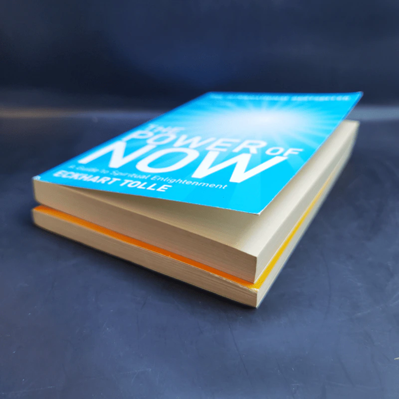 Practising The Power of Now + The Power of Now - Eckhart Tolle รูปที่ 7