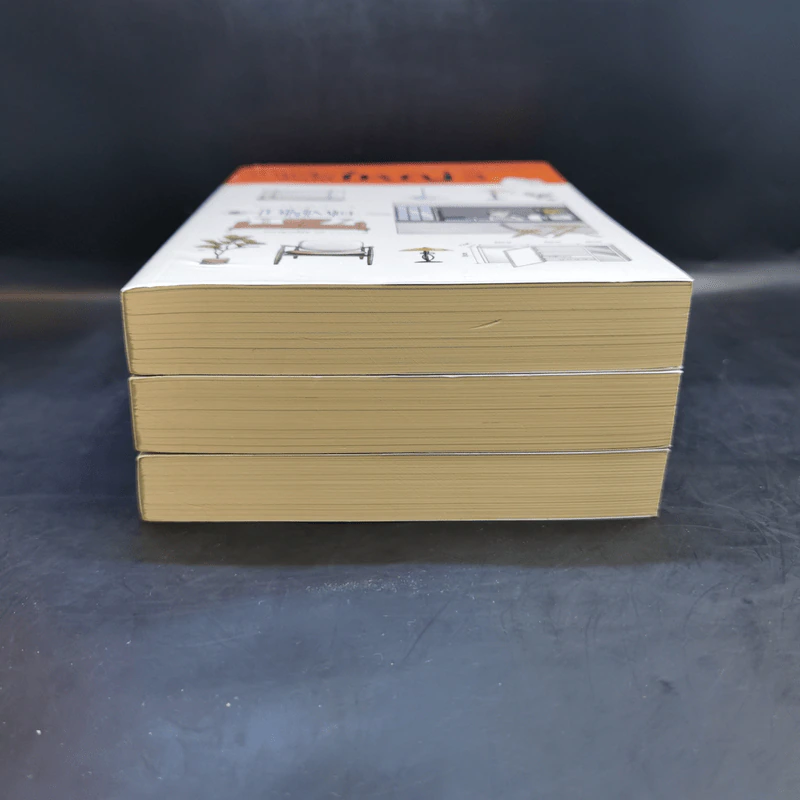 บ้านเล็กจัดให้ใหญ่ เล่ม 1-3 - ลู่เหวย รูปที่ 3