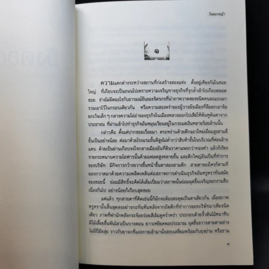 วังดอกหญ้า - ว.วินิจฉัยกุล รูปที่ 9