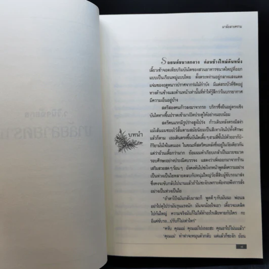 มาลัยลายคราม - ว.วินิจฉัยกุล รูปที่ 9