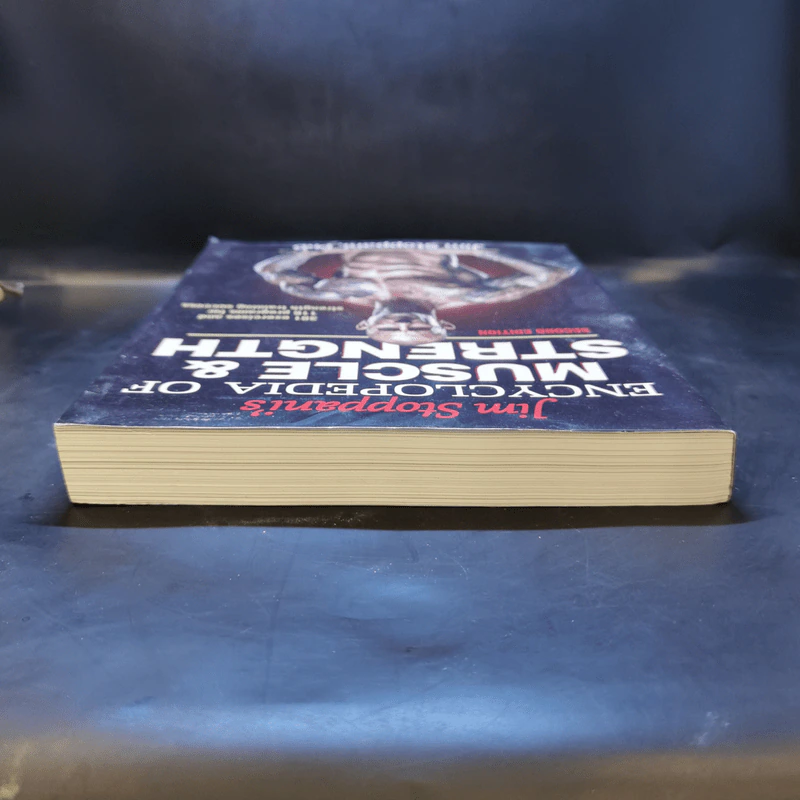 Stoppani's Encyclopedia of Muscle & Strength รูปที่ 6