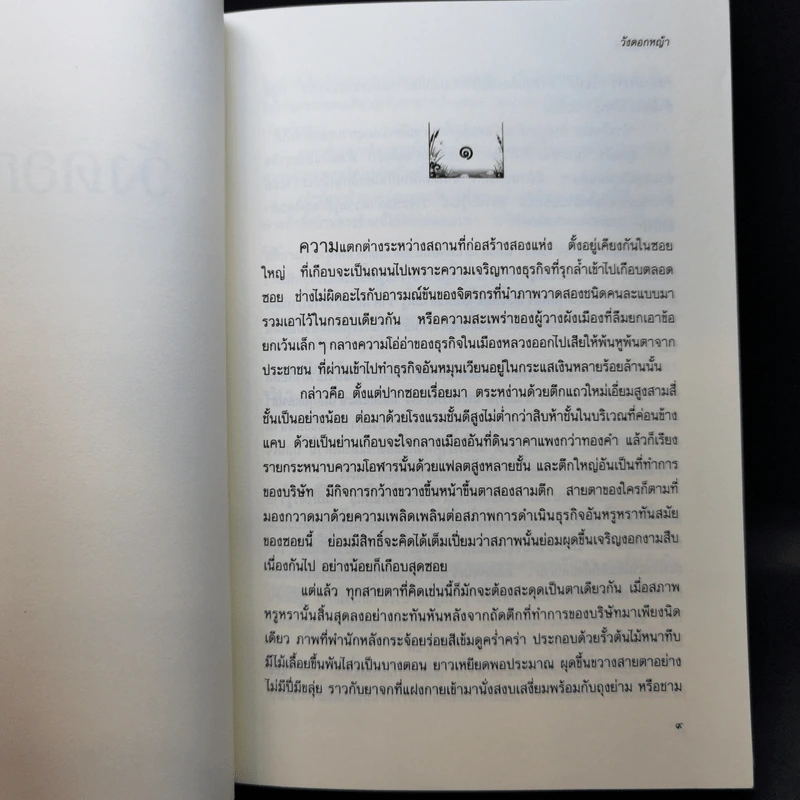 วังดอกหญ้า - ว.วินิจฉัยกุล รูปที่ 9