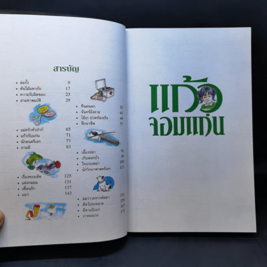 แก้วจอมแก่น - แว่นแก้ว รูปที่ 10