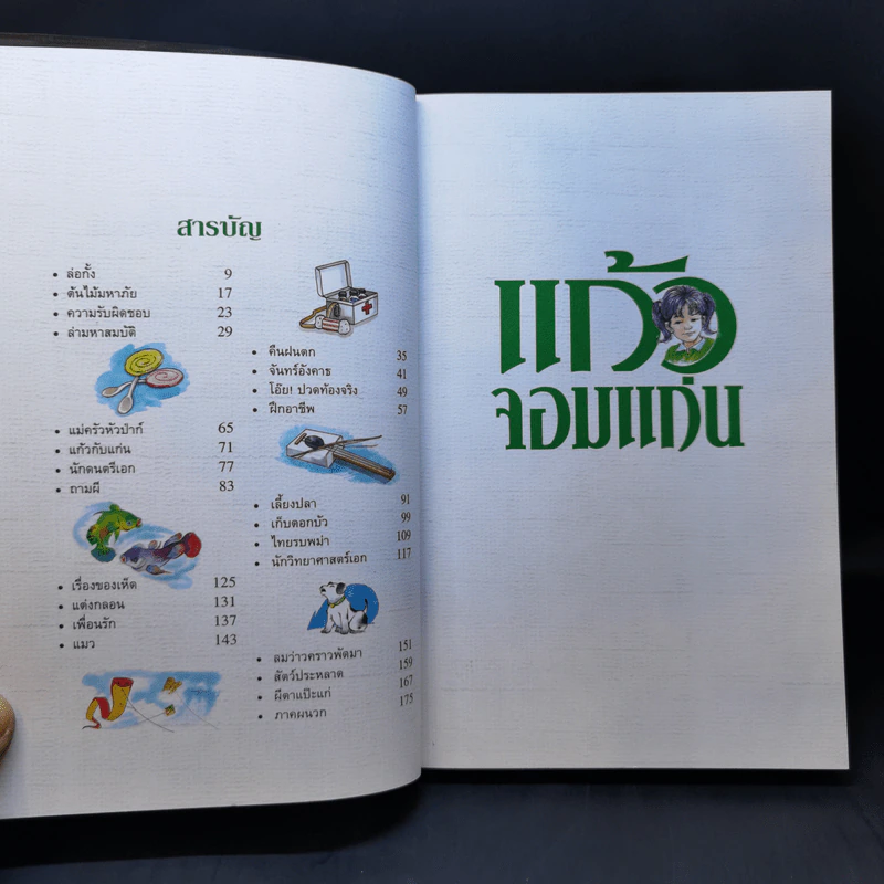 แก้วจอมแก่น - แว่นแก้ว รูปที่ 10