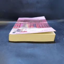 สะใภ้จ้าว - รจนา รูปที่ 4