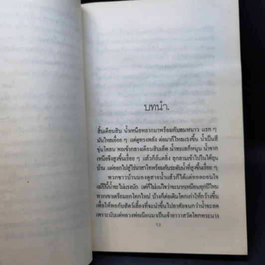 โคกพระนาง - วิมล ไทรนิ่มนวล รูปที่ 10
