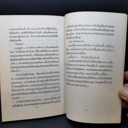 โคกพระนาง - วิมล ไทรนิ่มนวล รูปที่ 11