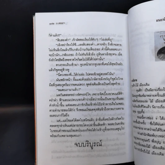 ลมตะเภา - ไม้ เมืองเดิม รูปที่ 10