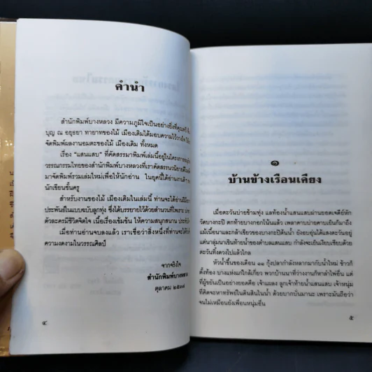 แสนแสบ - ไม้ เมืองเดิม รูปที่ 11