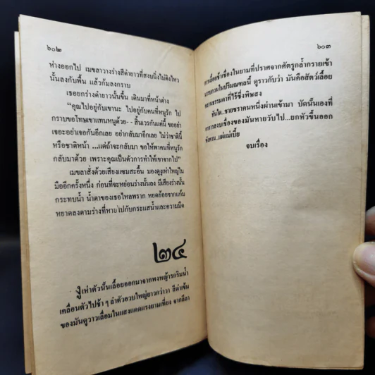 แม่เบี้ย - วาณิช จรุงกิจอนันต์ รูปที่ 11