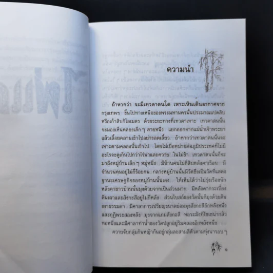 ไผ่แดง - ม.ร.ว.คึกฤทธิ์ ปราโมช รูปที่ 11