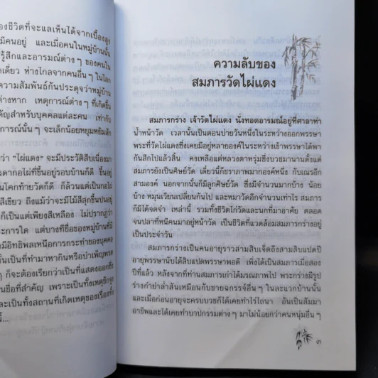 ไผ่แดง - ม.ร.ว.คึกฤทธิ์ ปราโมช รูปที่ 12
