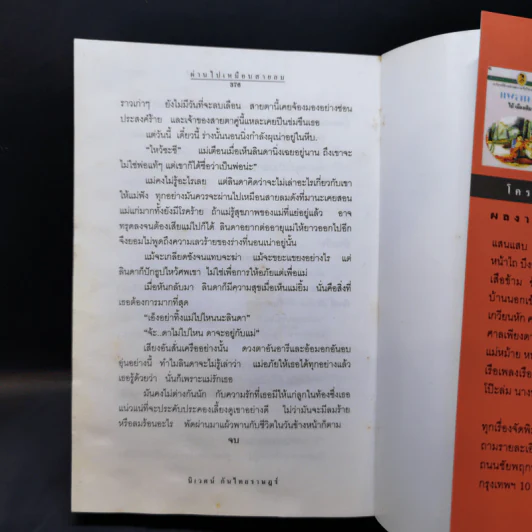 ผ่านไปเหมือนสายลม - นิเวศน์ กันไทยราษฎร์ รูปที่ 11