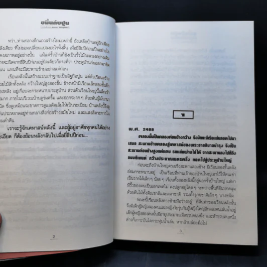 ขมิ้นกับปูน - จุลลดา ภักดีภูมินทร์ รูปที่ 11