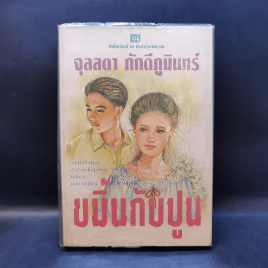 ขมิ้นกับปูน - จุลลดา ภักดีภูมินทร์ รูปที่ 1