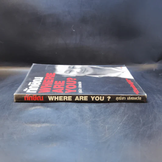 ทักษิณ Where Are You ชีวิตหลังปฎิวัติ - สุณิสา เลิศภควัต รูปที่ 3
