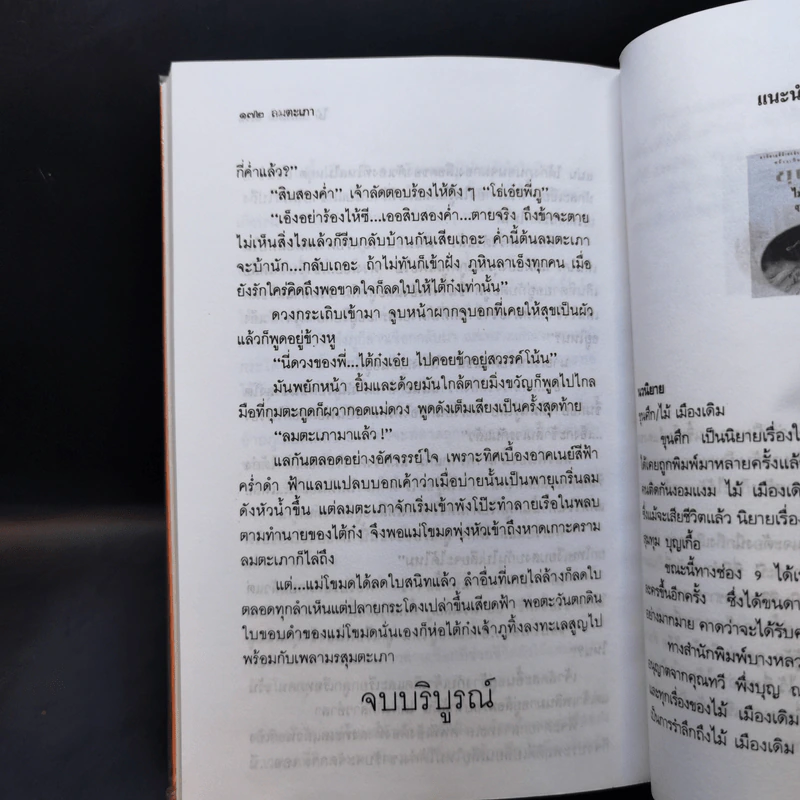 ลมตะเภา - ไม้ เมืองเดิม รูปที่ 10
