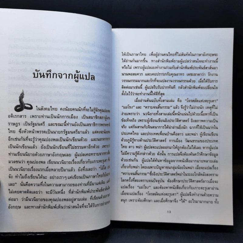 แม่โขง - ปองพล อดิเรกสาร รูปที่ 10