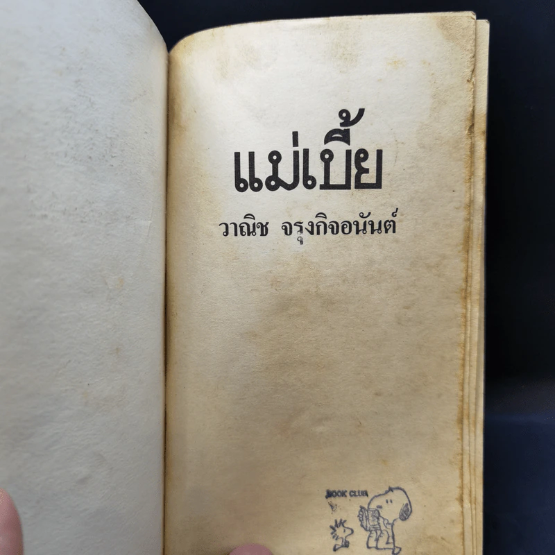 แม่เบี้ย - วาณิช จรุงกิจอนันต์ รูปที่ 8