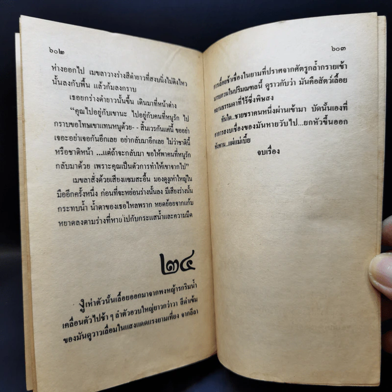 แม่เบี้ย - วาณิช จรุงกิจอนันต์ รูปที่ 11