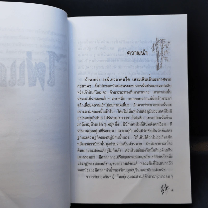 ไผ่แดง - ม.ร.ว.คึกฤทธิ์ ปราโมช รูปที่ 11