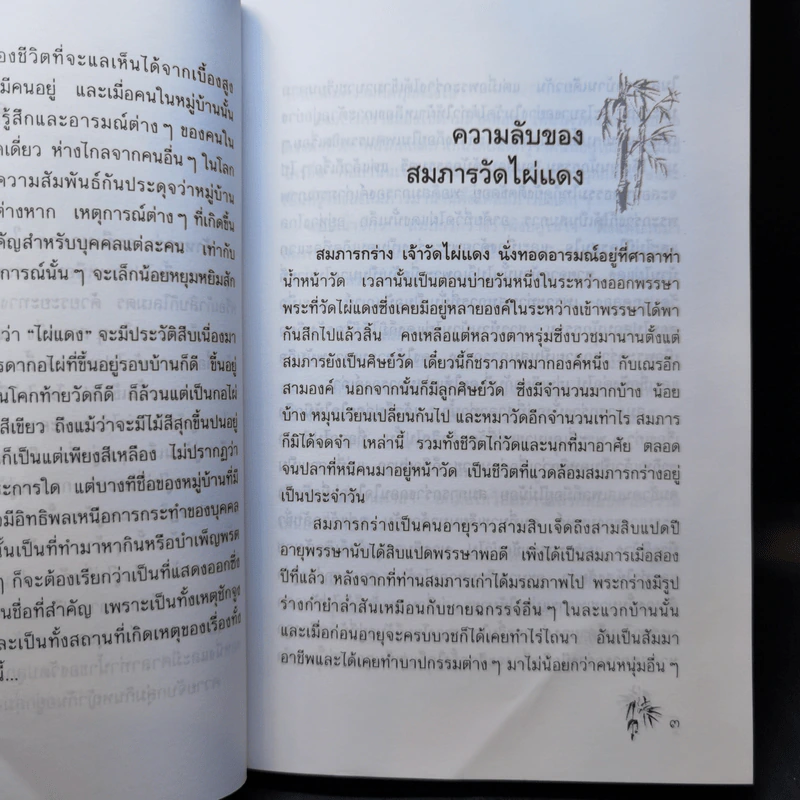 ไผ่แดง - ม.ร.ว.คึกฤทธิ์ ปราโมช รูปที่ 12