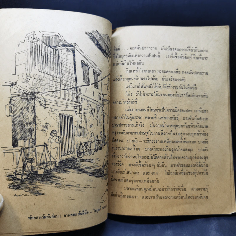 ผดุงศิลป์ พิเศษ 3 เฟื่องนคร ส.ค.2513 - รงค์ วงษ์สวรรค์ กับ เพื่อนหนุ่ม รูปที่ 10