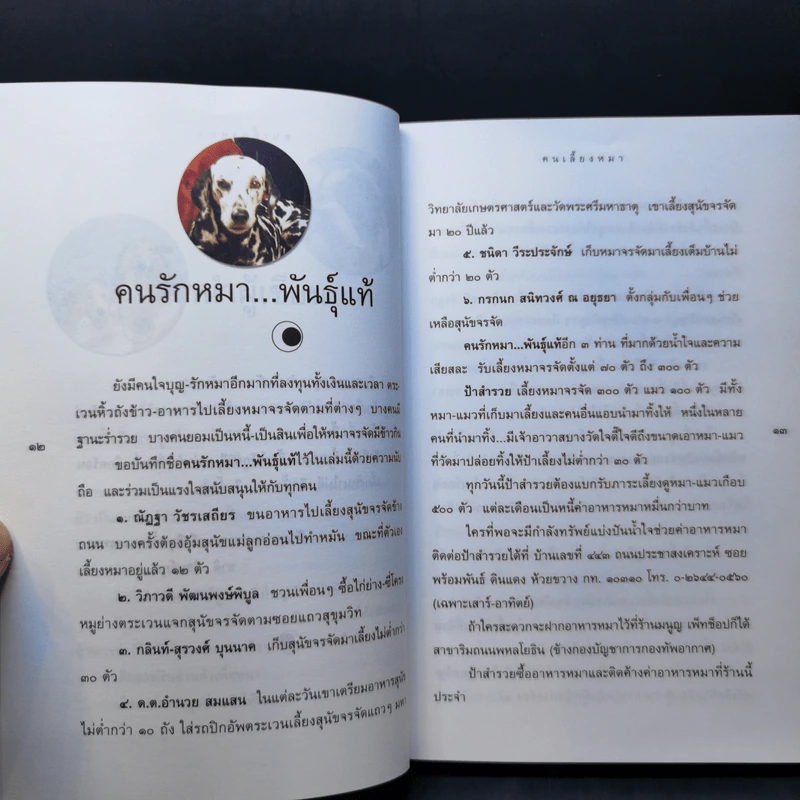 คนเลี้ยงหมา - ชาติ ภิรมย์กุล รูปที่ 10