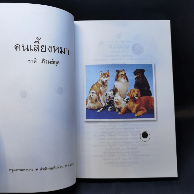 คนเลี้ยงหมา - ชาติ ภิรมย์กุล รูปที่ 7