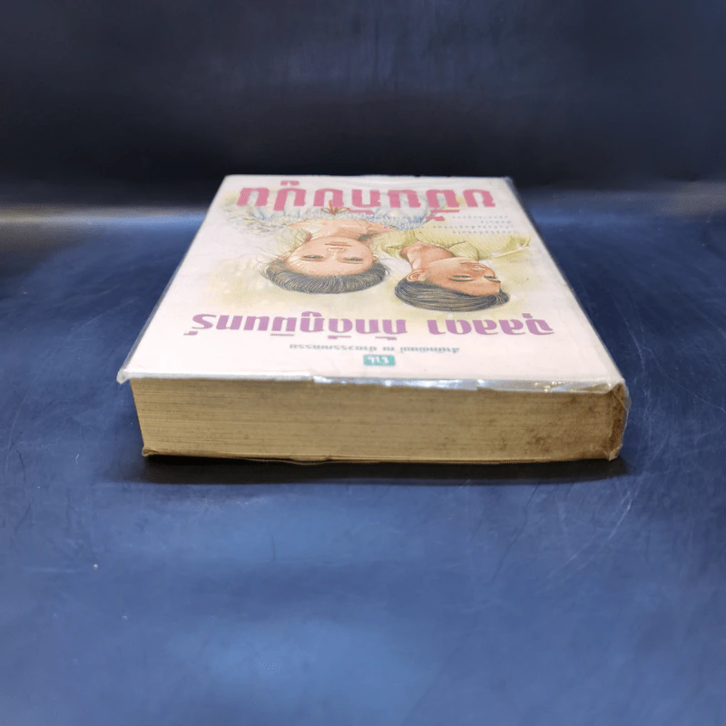 ขมิ้นกับปูน - จุลลดา ภักดีภูมินทร์ รูปที่ 6