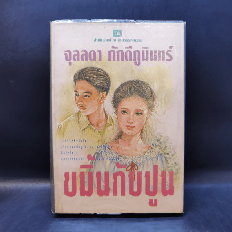 ขมิ้นกับปูน - จุลลดา ภักดีภูมินทร์ รูปที่ 1