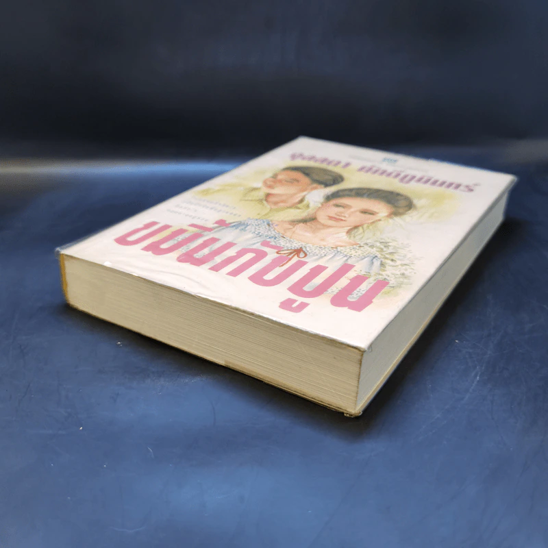 ขมิ้นกับปูน - จุลลดา ภักดีภูมินทร์ รูปที่ 7