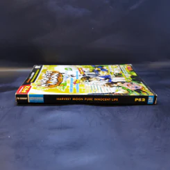 บทสรุปเฉลยเกม PS2 Harvest Moon Pure Innocent Life รูปที่ 3