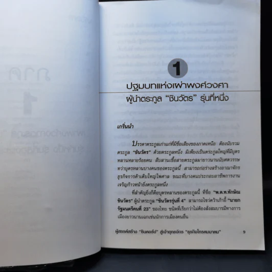 ตระกูลชินวัตร - อธิวัฒน์ ทรัพย์ไพฑูรย์ รูปที่ 11