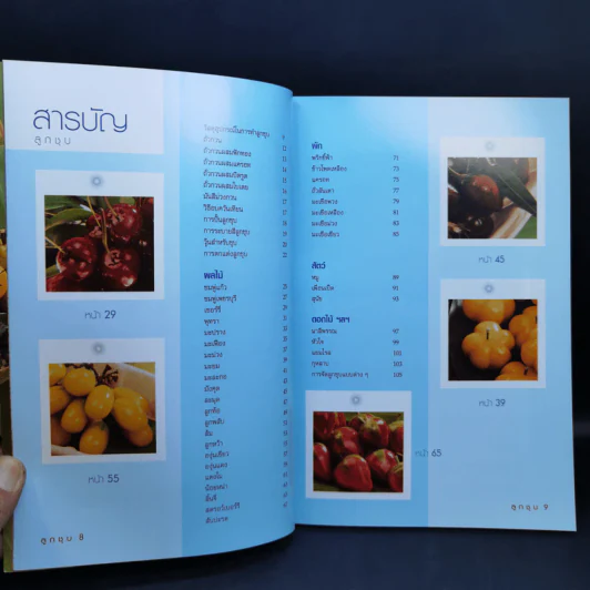 ลูกชุบ - อาจารย์อมราภรณ์ วงษ์ฟัก รูปที่ 10