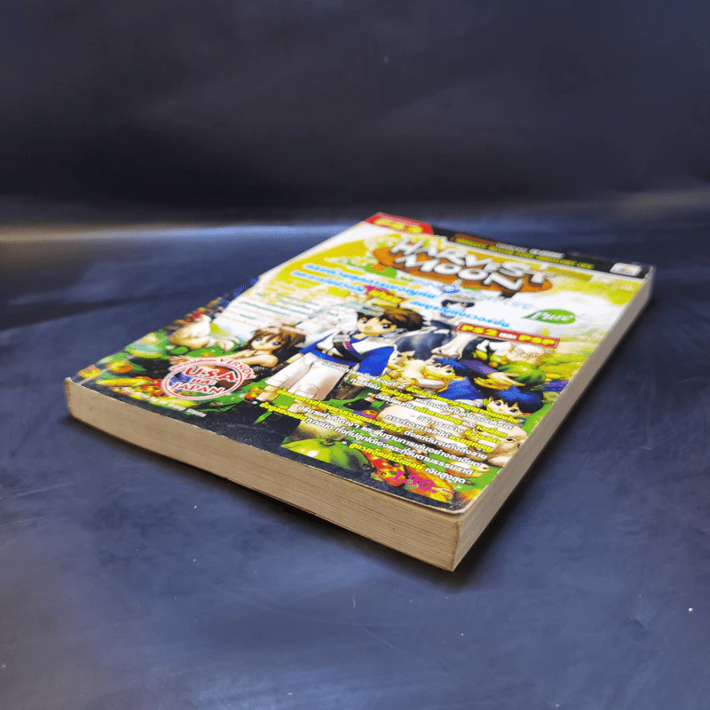 บทสรุปเฉลยเกม PS2 Harvest Moon Pure Innocent Life รูปที่ 7