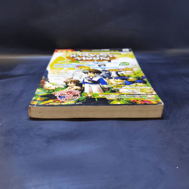 บทสรุปเฉลยเกม PS2 Harvest Moon Pure Innocent Life รูปที่ 4