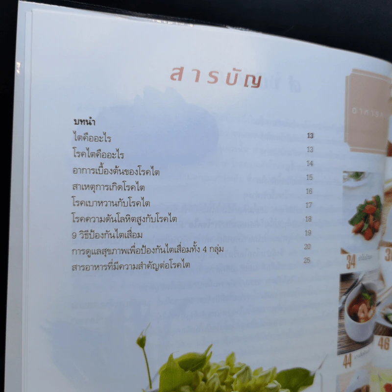 กินดื่มต้านโรคไต - วนิดา คุ้มอนุวงศ์ รูปที่ 11