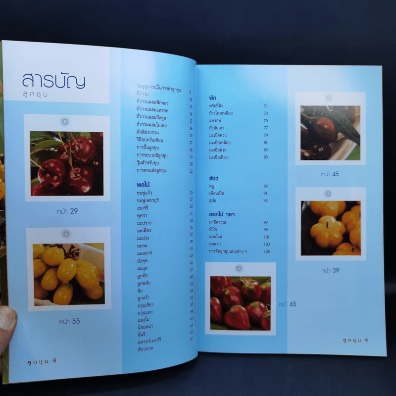 ลูกชุบ - อาจารย์อมราภรณ์ วงษ์ฟัก รูปที่ 10