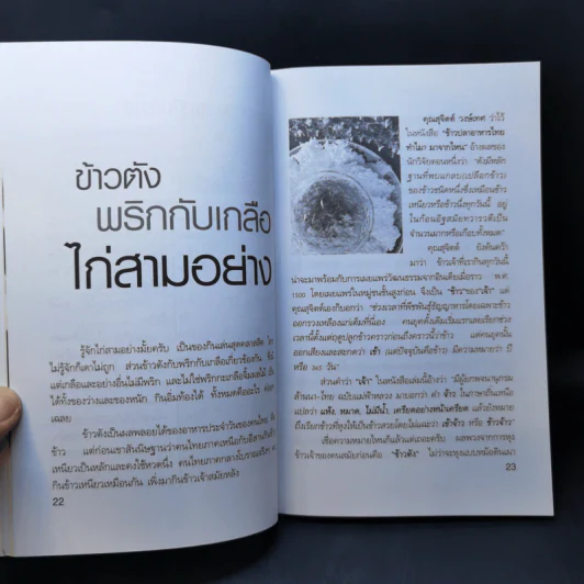 ของกินเล่น - สำนักพิมพ์แม่บ้านทันสมัย รูปที่ 13